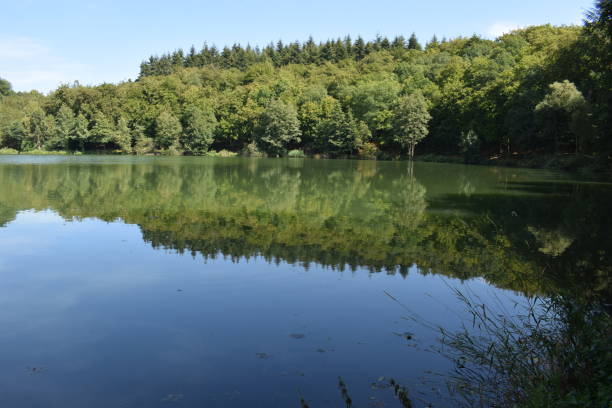 istock caldera lake 'Holzmaar' in Eifel region 1020173508