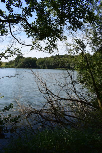 istock caldera lake 'Holzmaar' in Eifel region 1020173652