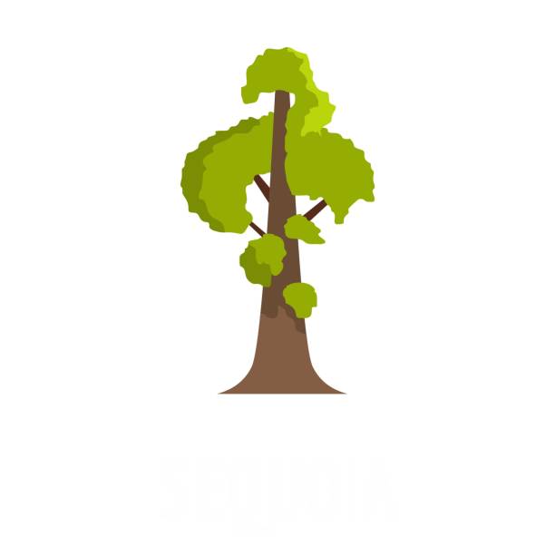 ikona sequoia, styl płaski - tree growth sequoia rainforest stock illustrations