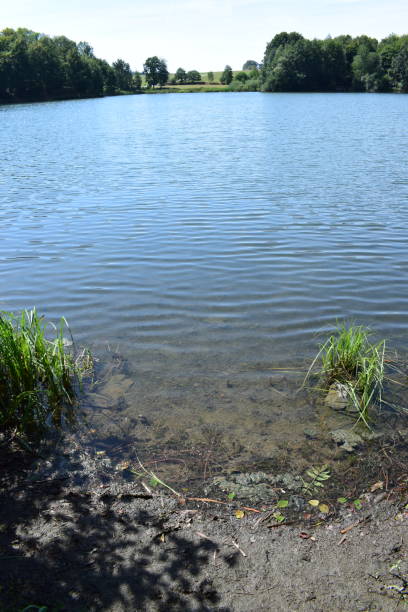 カルデラ湖アイフェル地方の ' holzmaar' - lake volcano volcanic crater riverbank ストックフォトと画像