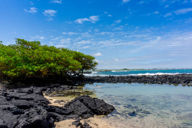 costa vulcanica panoramica delle galapagos - isabella island foto e immagini stock