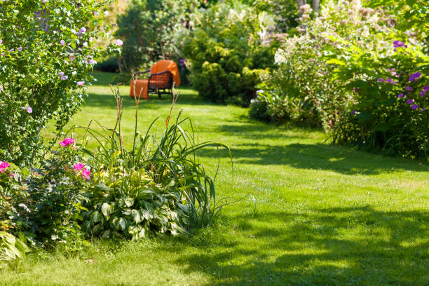 istock beautiful garden with an armchair in background 1020191950