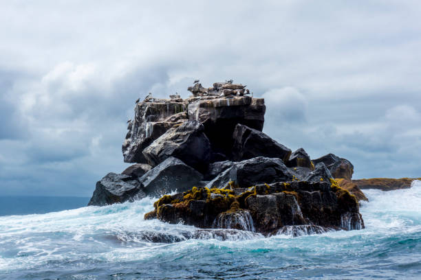 Majestic rock formation with a thriving bird population off the coast of Isabela Island in the Galapagos. This horizontal landscape shot of rock, sea and sky was taken during the day.