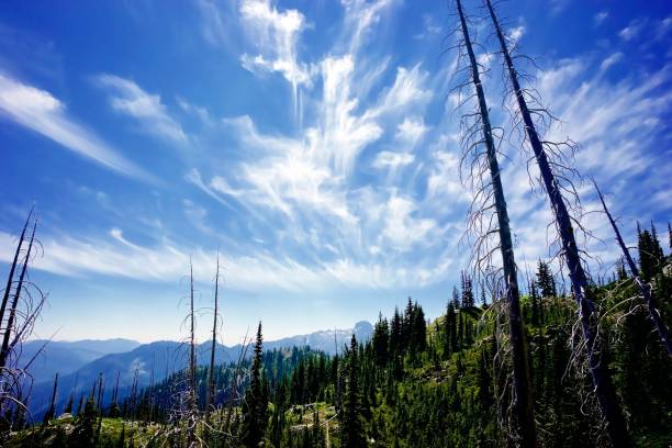 istock Escondido Ridge on Washington State Section of Pacific Crest Trail 1020192952