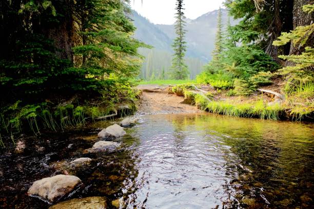 cruce de lago profundo creek, washington estado sección de pacific crest trail - deep creek area fotografías e imágenes de stock