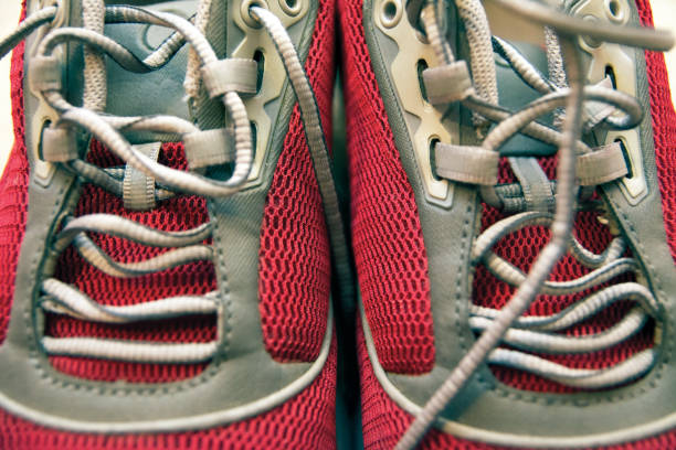 Shoelace
