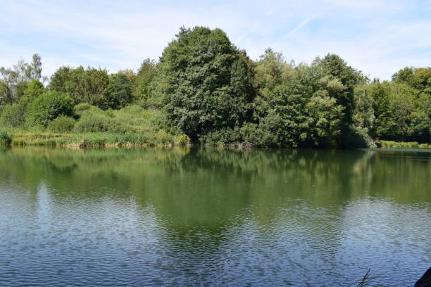 istock lake shore, Holzmaar 1020211050