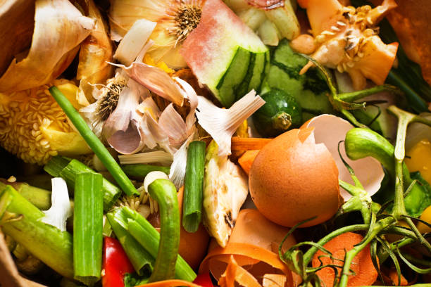 Green Recycling Food Waste Compost Close-up