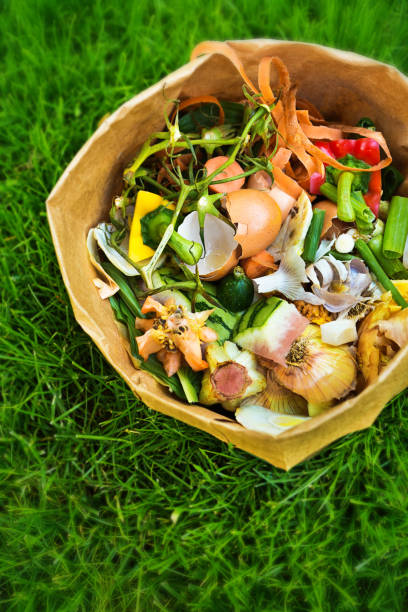 istock Green Recycling Food Waste Compost on Grass Background 1020211990