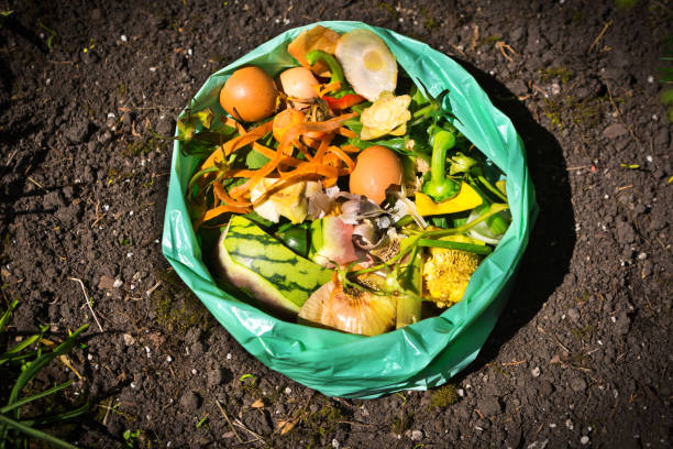istock Green Recycling Food Waste Compost on Dirt Background 1020211992