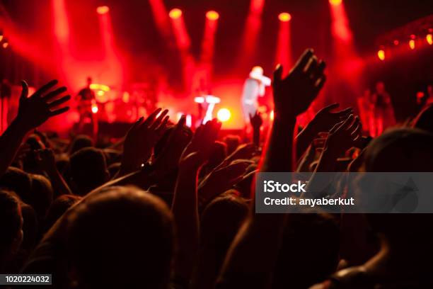 Concert Crowd During Festival Hands Of Many People Stock Photo - Download Image Now