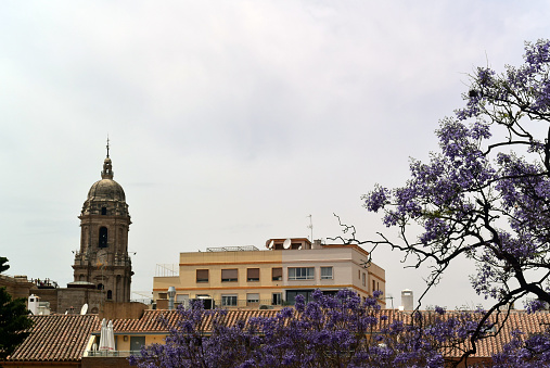 Photo of views of the historical part of the city from the fortress of Alcazaba. Photo of Santa Iglesia Catedral Basílica de la Encarnación