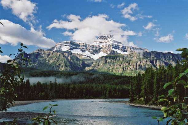 istock Athabasca River in Jasper National Park  summer 1020248650