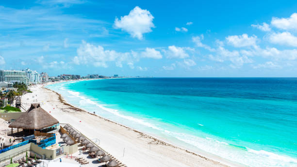 vue aérienne de la plage tropicale des caraïbes - cayman islands photos et images de collection