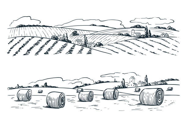 landwirtschaftliche felder landschaft, vektor illustration skizzieren. landwirtschaft und ernte vintage-hintergrund. ansicht der ländlichen natur - field landscape stock-grafiken, -clipart, -cartoons und -symbole
