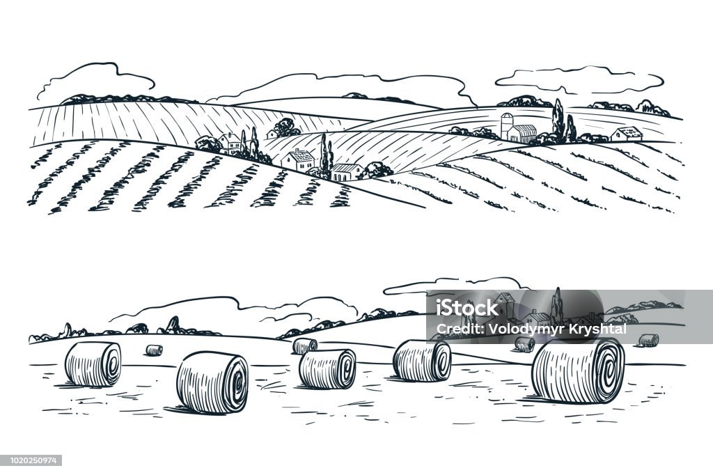 Jordbruk fält landskap, skiss vektor illustration. Jordbruk och skörd vintage bakgrund. Landsbygdens natur Visa - Royaltyfri Fält vektorgrafik