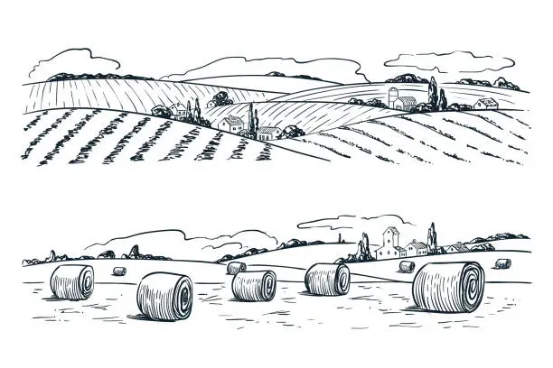 Vector illustration of Farming fields landscape, vector sketch illustration. Agriculture and harvesting vintage background. Rural nature view
