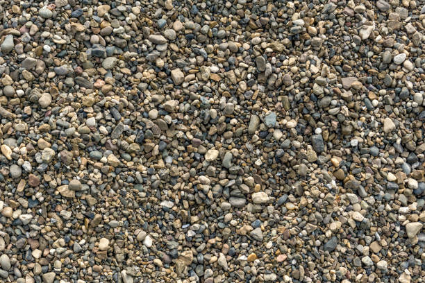 Abstract natural background with dry round pebble stone uneven surface stock photo