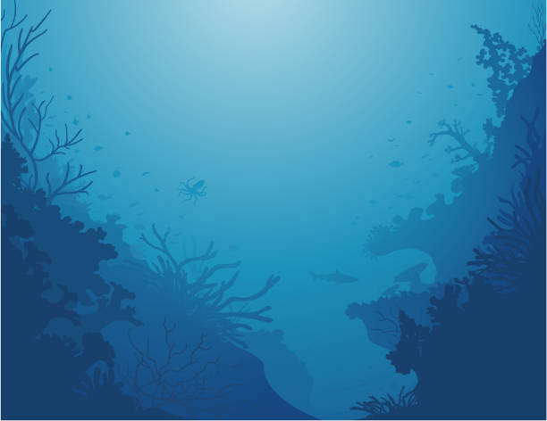 サンゴの背景/レ profondeurs ド ラ メール - 海中点のイラスト素材／クリップアート素材／マンガ素材／アイコン素材