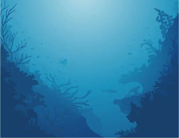 Vector illustration of Corals Background / The depths of the sea