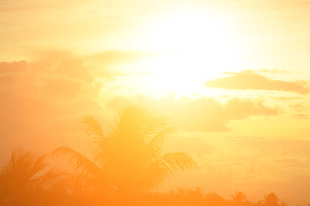 istock Beautiful light from the nature at sunset every day. 1020307194