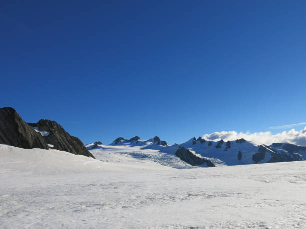 istock View of Fox Glacier, New Zealand 1020307568