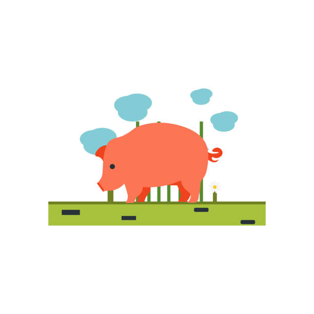 ilustraciones, imágenes clip art, dibujos animados e iconos de stock de cerdo icono vector de señal y símbolo aisladas sobre fondo blanco, el concepto de logotipo de cerdo - piggy bank currency business coin
