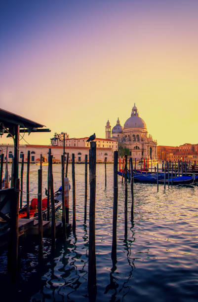 istock Grand canal in Venice 1020312586