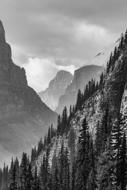 istock The Canadian Rockies 1020322240