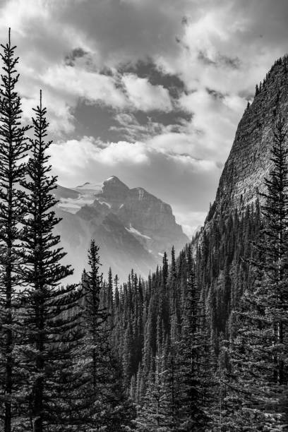 istock The Canadian Rockies 1020322858