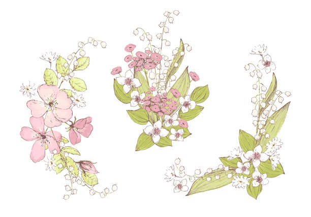 istock Beautiful vector bouquets, wild flowers. Compositions for wedding decor, spring pastel color 1020332414