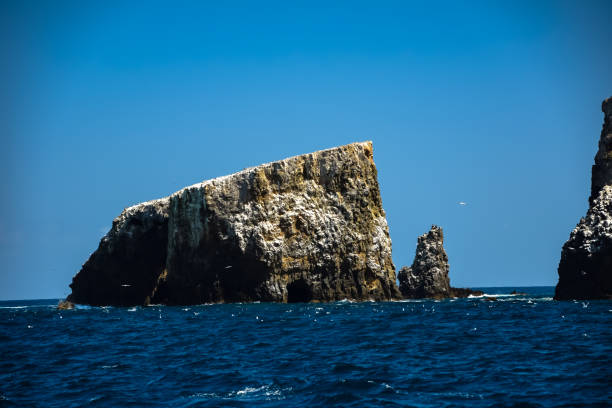 Cliffs and rock formations on Anacapa Island in the Channel Islands National Park in California 14 miles off the coast of Ventura anacapa island stock pictures, royalty-free photos & images