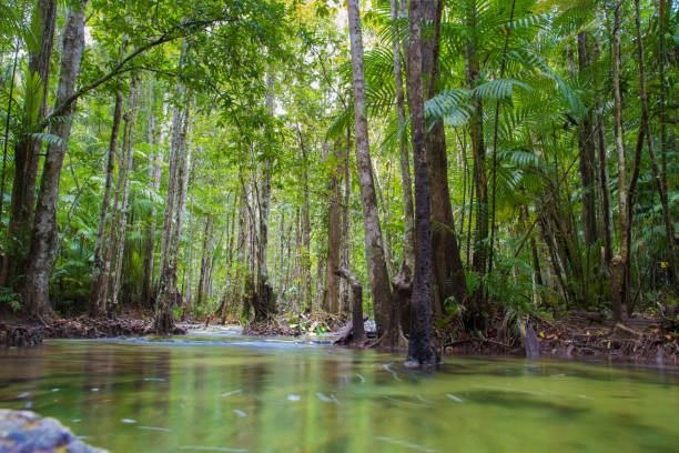 istock Beautiful green forest lake. Krabi, Thailand 1020344340