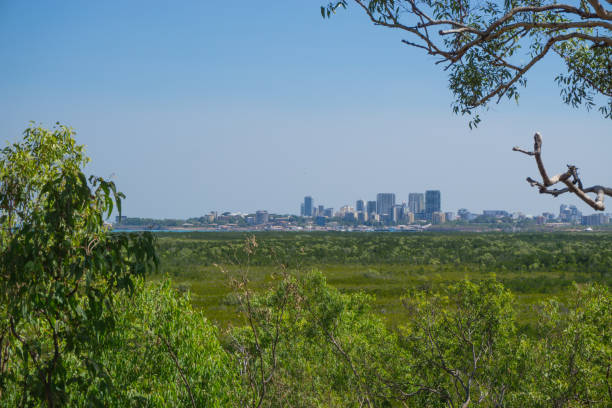 istock Darwin skyline from Charles Darwin National Park 1020350126