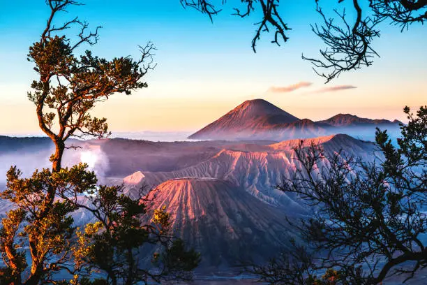 Sunrise at volcano Mt.Bromo (Gunung Bromo) Kingkong hill  East Java,Indonesia