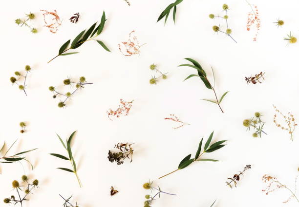 istock Flowers composition. Pattern made of eucalyptus branches and yellow and pink flowers on white background. Flat lay, top view. 1020365290