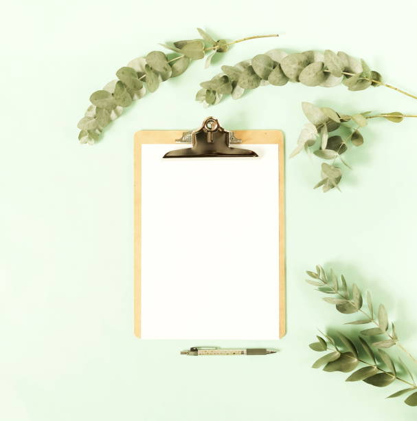 Mock up with clipboard, eucalyptus branches  and a pen on pale mint green background. Flat lay, top view.Copy space