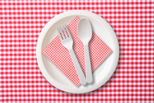 Overhead shot of white plastic plate, Folk, and spoon on red gingham check tablecloth.