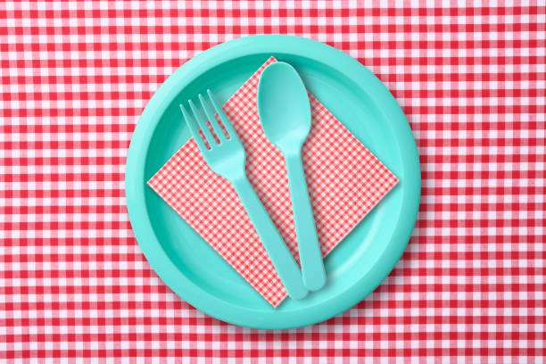 istock Blue plastic plate with folk and spoon on red gingham check tablecloth 1020385742