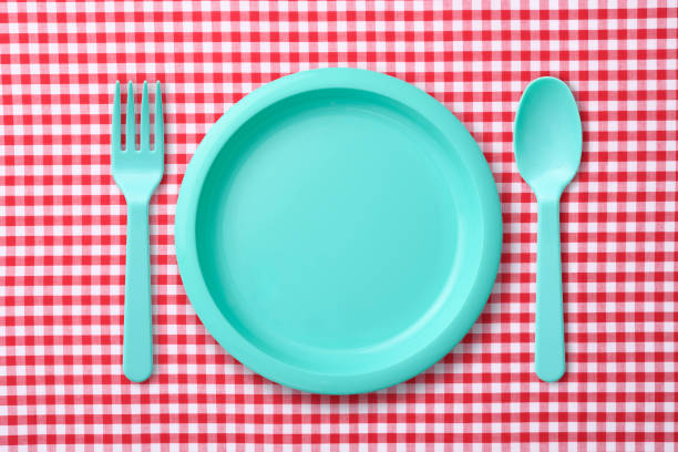 istock Blue plastic plate with folk and spoon on red gingham check tablecloth 1020385748