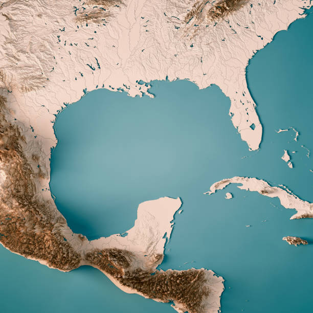 istock Gulf of Mexico 3D Render Topographic Map Neutral 1020385992