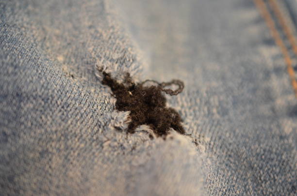 istock blue texture maden from a piece of jeans with torned hole with threads blurred toned. 1020388144