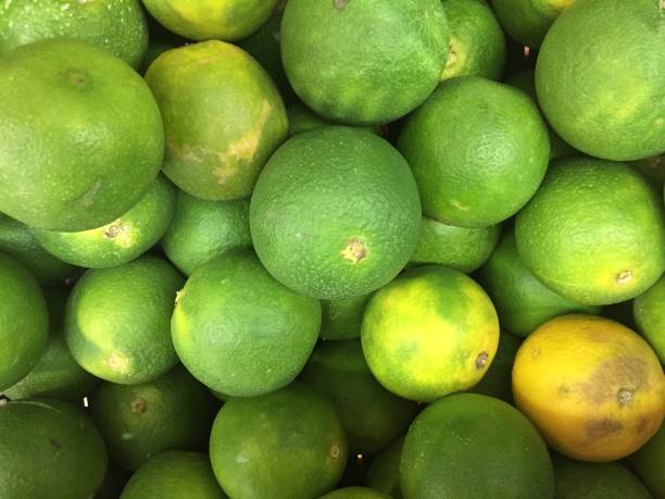istock group of sweet lime 1020403388