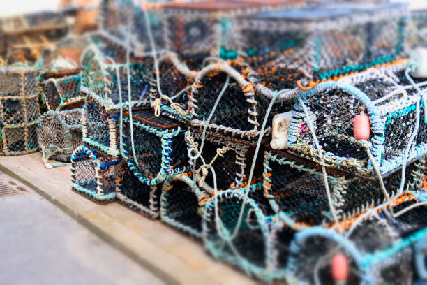 istock Stacked lobster fishing pots netted boxes at harbour wall 1020408286