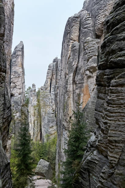 sandstone rocks - Prachovske skaly (Prachov Rocks) The sandstone rocks called Prachovske skaly (Prachov Rocks) in National Park Cesky Raj (Bohemian Paradise). Czech Republic. Central Europe. former czechoslovakia stock pictures, royalty-free photos & images