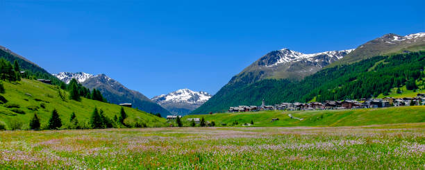 istock Livigno in summer (Lombardy, Italy) 1020415462