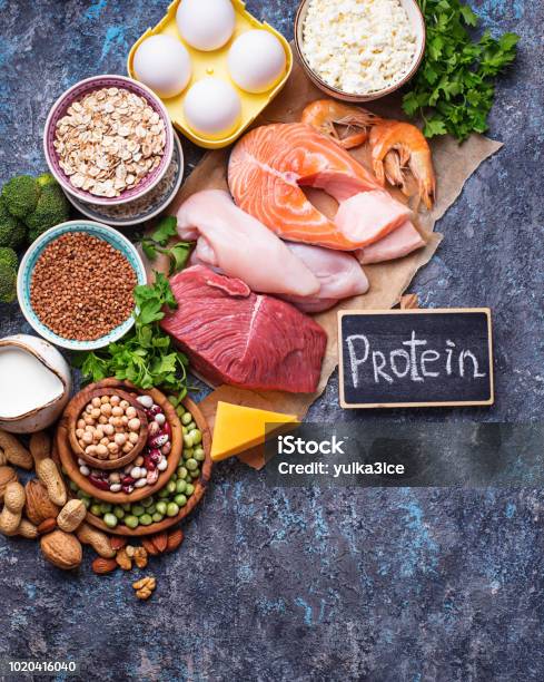 Healthy Food High In Protein Stock Photo - Download Image Now - Protein, Food, Ketogenic Diet