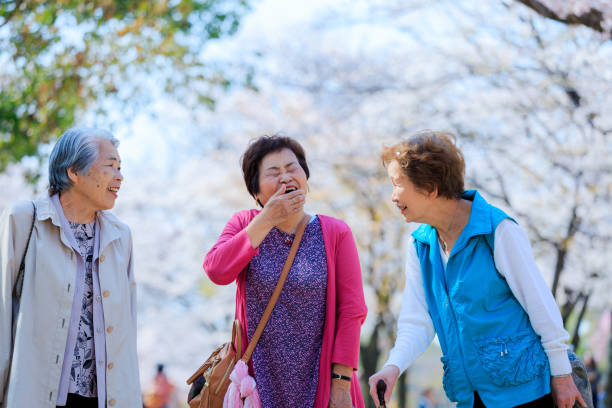 Three Asian senior travelers