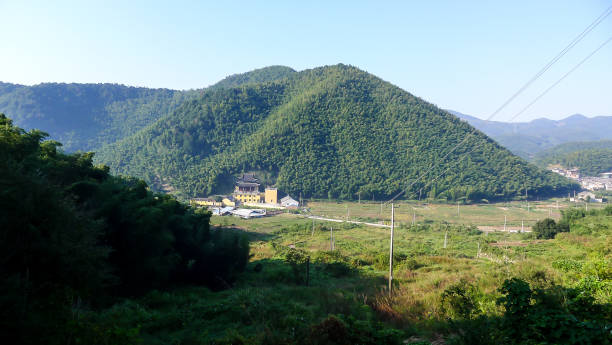 istock Mountains are Covered with Lush and Green Trees 1020436092