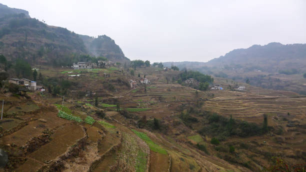 istock Terraces for growing rice and vegetables 1020436292
